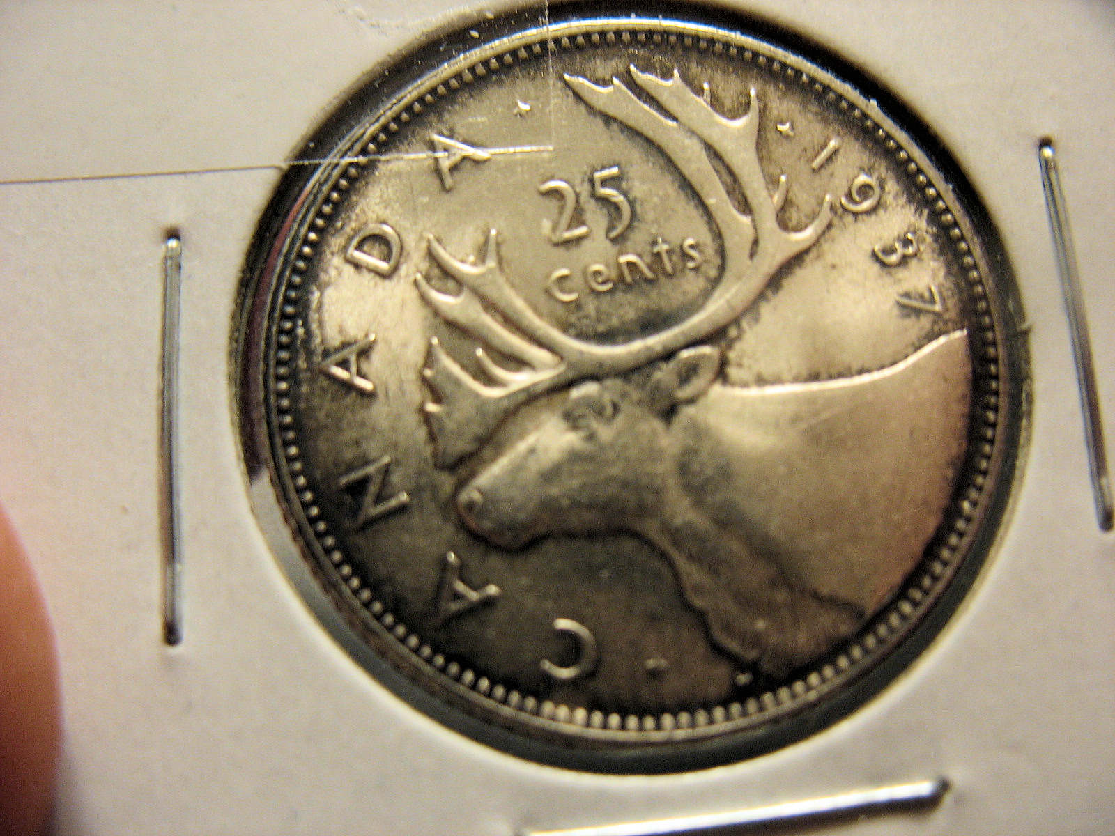 I-Like-Toning---Picked-This-One-Up-Last-Week